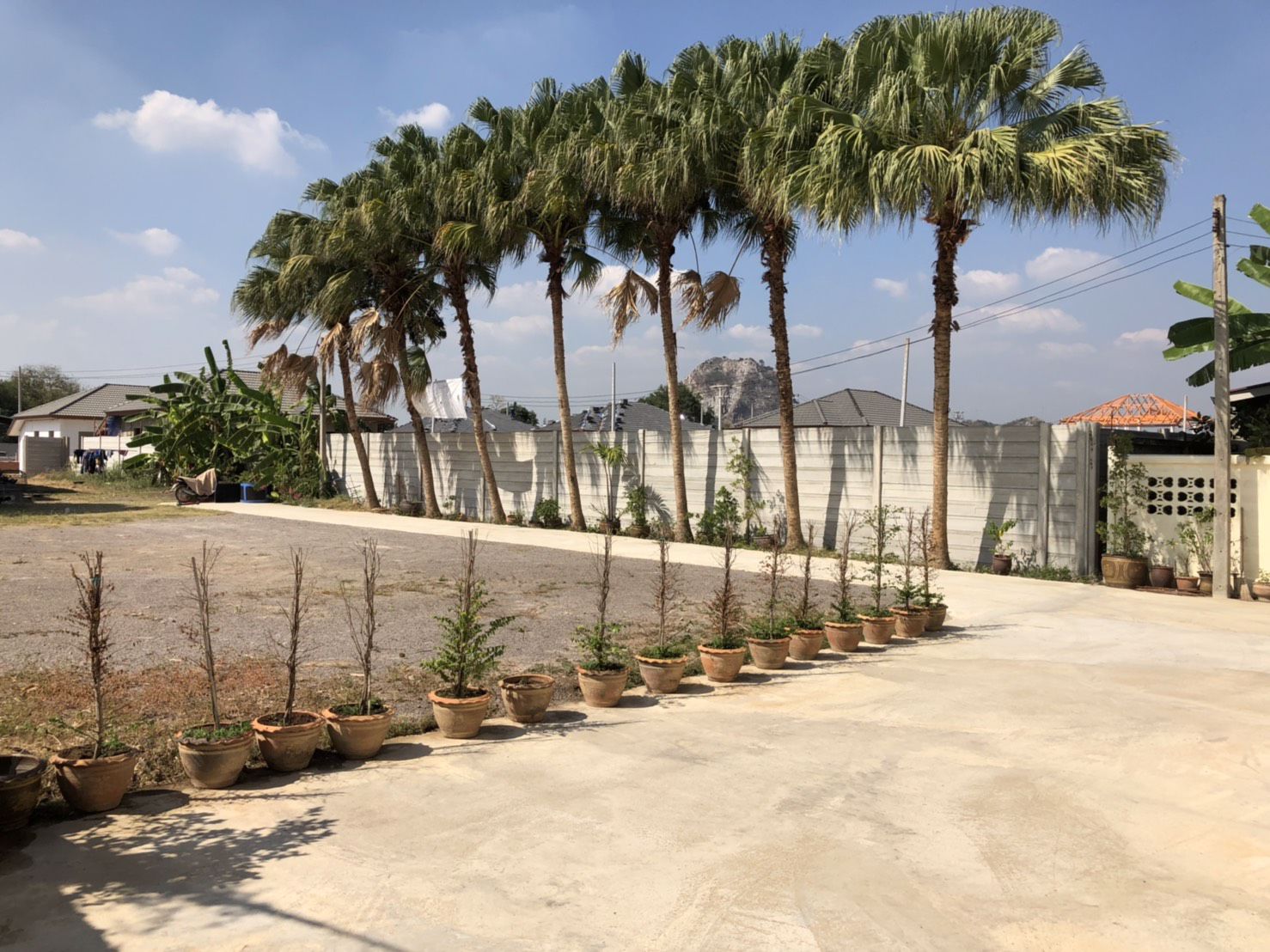 ขาย-ให้เช่า-ที่ดิน-334-ตรว-พร้อมบ้าน-2-หลัง-อเมืองราชบุรี-พร้อมเข้าอยู่ได้เลย