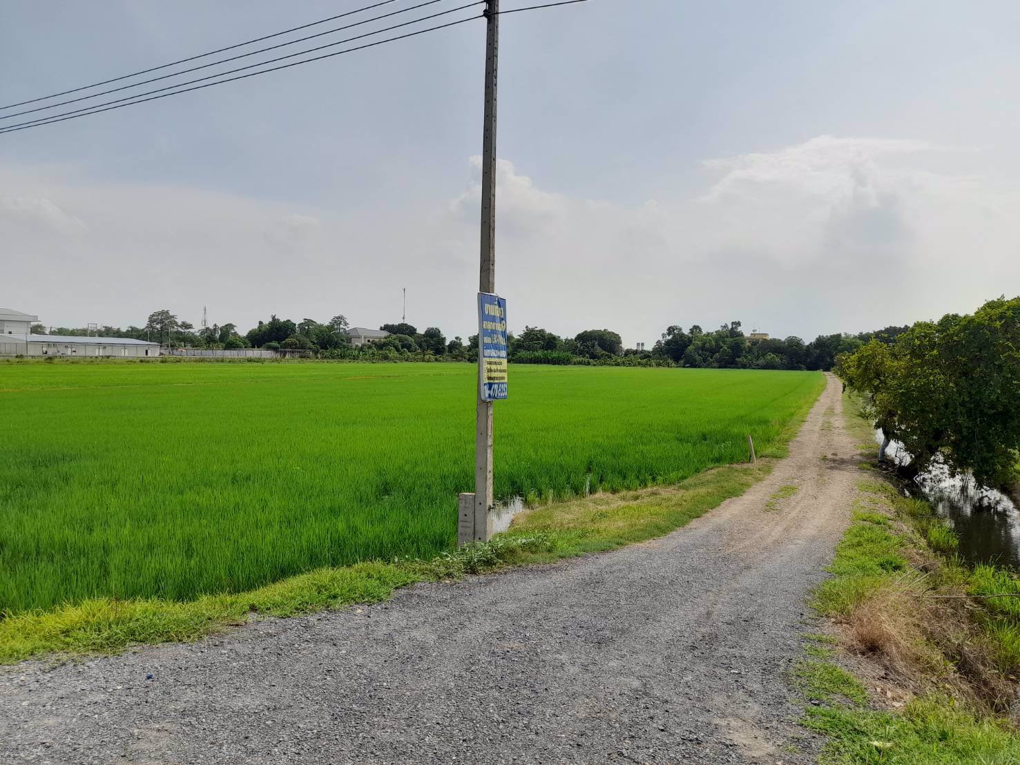 ขายที่ดิน-8-ไร่-68-ตารางวา-ติดถนนลำลูกกาคลอง7