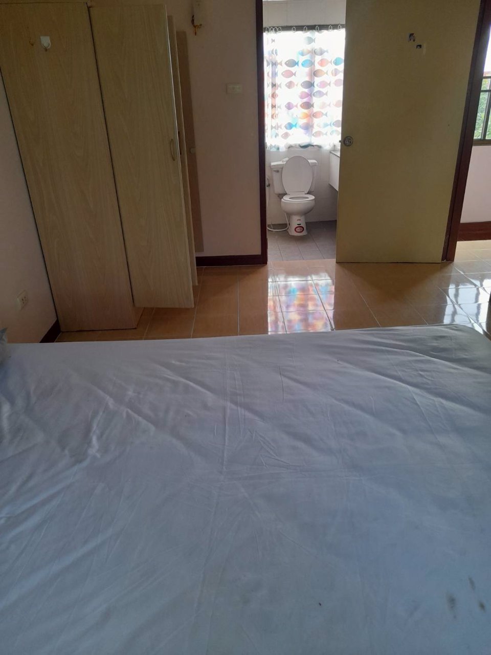 ที่ดินพร้อมสิ่งปลูกสร้าง-เนื้อที่-2-ไร่-2-งาน-19-ตรว