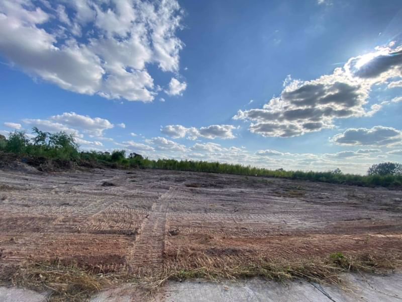 ขายที่ดิน4ไร่ติดถนนคอนกรีต-ในเมืองหนองคาย