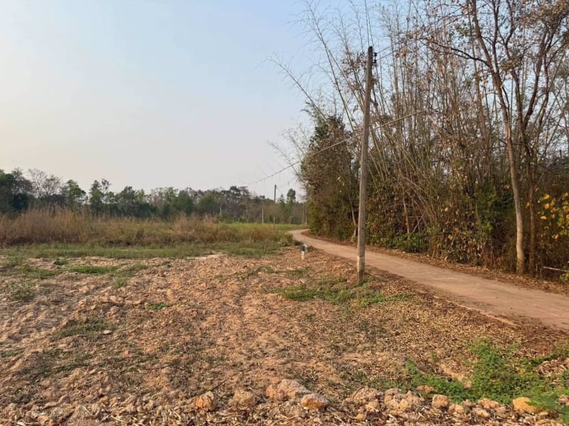 ขายที่ดินติดถนนคอนกรีต-มีไฟฟ้า250ตรว-ราคา370000บาท