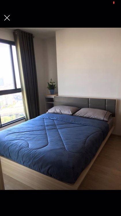 ให้เช่า-ideo-o2-btsบางนา-ตึกa-ชั้น21-วิวเมือง-สนใจline-หรือโทร-0917232192