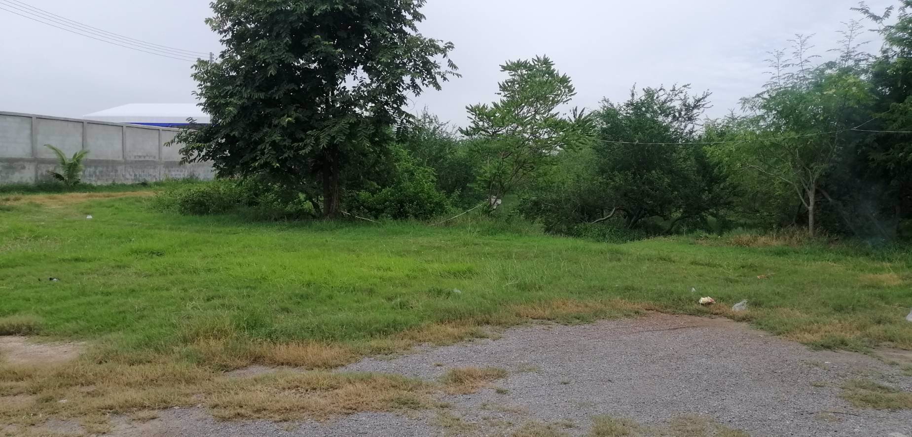 ขายที่ดิน-15ไร่-ใกล้เมือง-ตพิกุลทอง-อเมืองราชบุรี-จราชบุรี