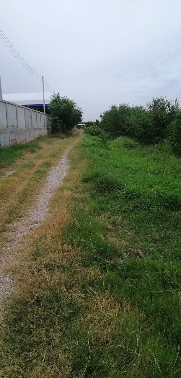 ขายที่ดิน-15ไร่-ใกล้เมือง-ตพิกุลทอง-อเมืองราชบุรี-จราชบุรี