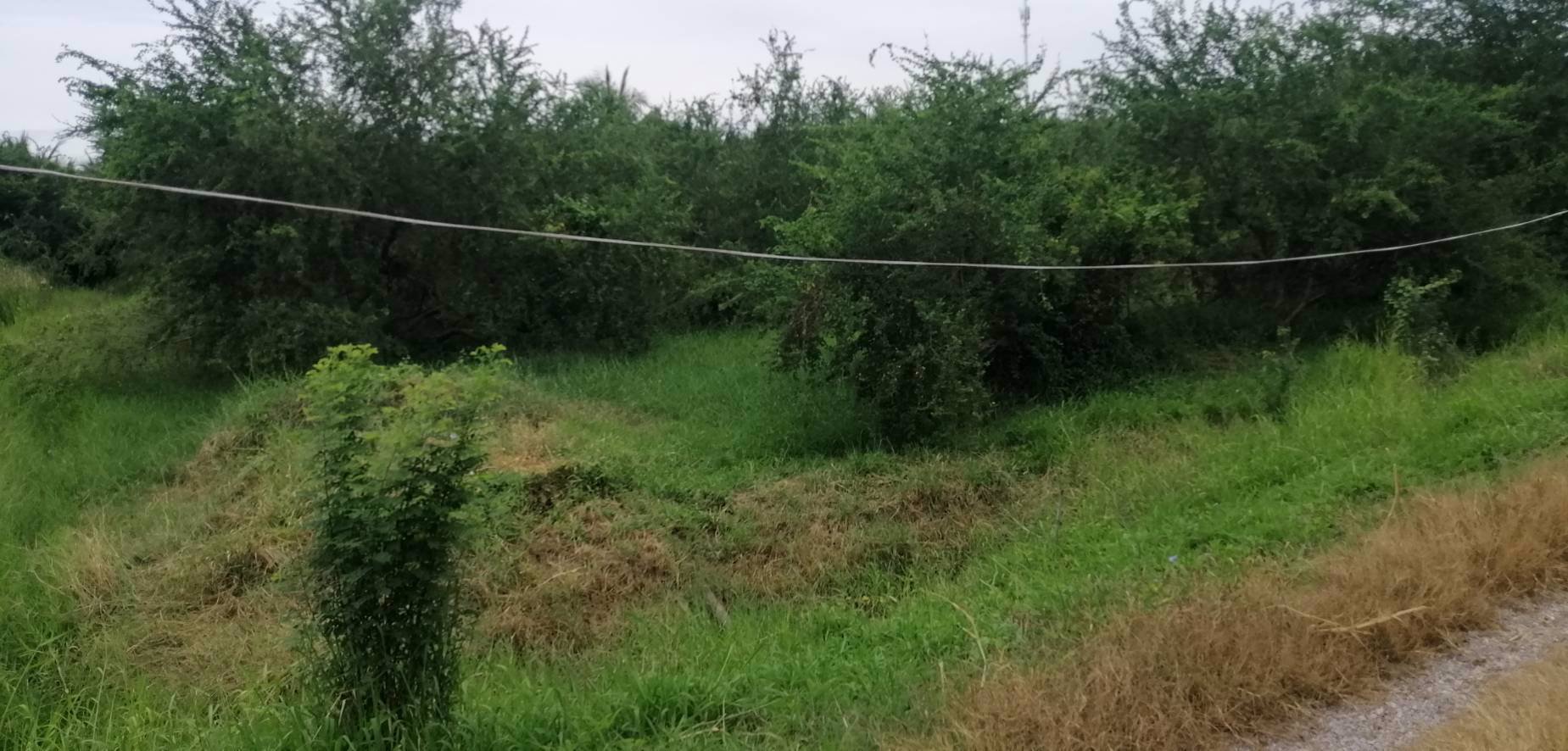 ขายที่ดิน-15ไร่-ใกล้เมือง-ตพิกุลทอง-อเมืองราชบุรี-จราชบุรี