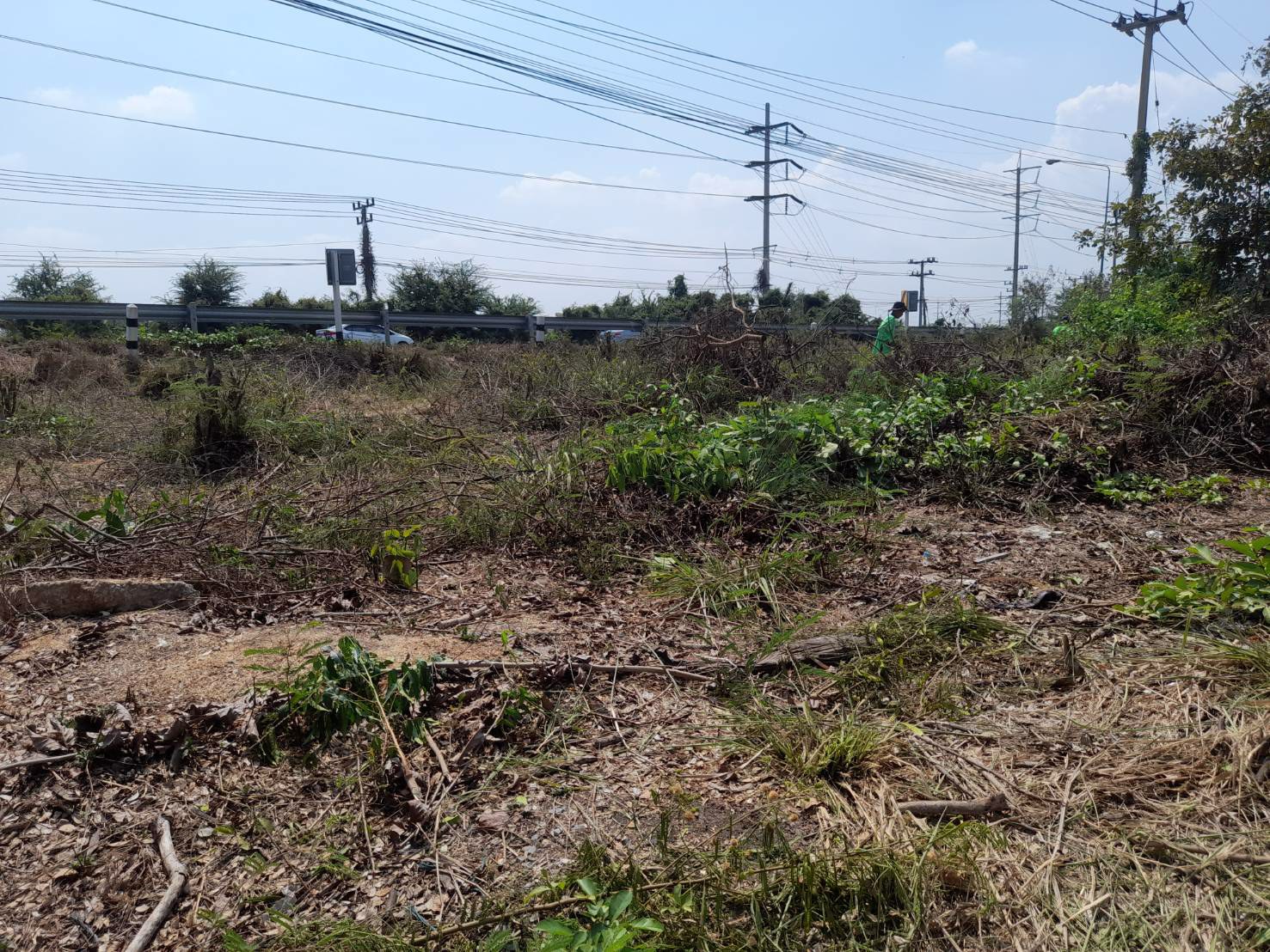 ขายที่ดินติดถนนใหญ่-1-งาน-20-ตรว-ตไผ่หูช้าง-อบางเลน-จนครปฐม