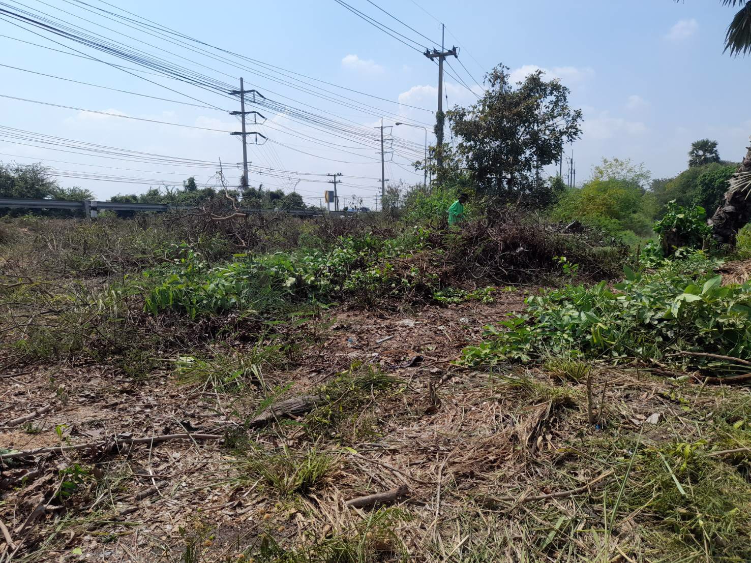 ขายที่ดินติดถนนใหญ่-1-งาน-20-ตรว-ตไผ่หูช้าง-อบางเลน-จนครปฐม