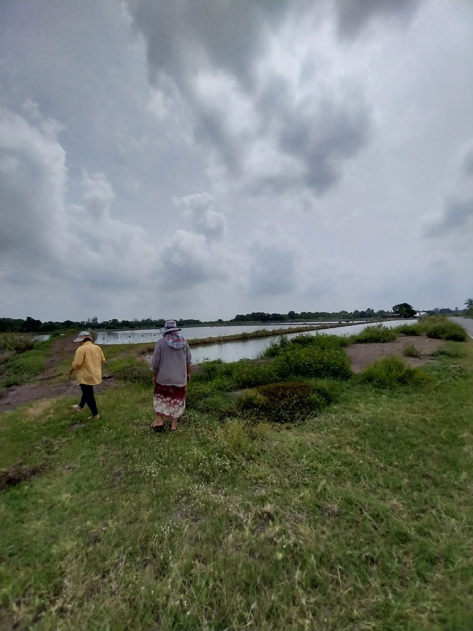 ขายที่ดิน-16-ไร่-1-งาน-20-ตรว-ตลำลูกบัว-อดอนตูม-นครปฐม