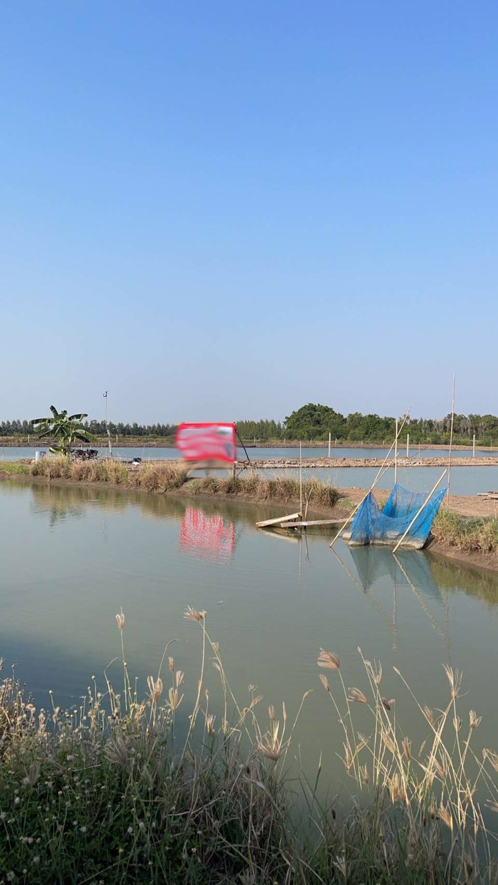 ขายที่ดิน-16-ไร่-1-งาน-20-ตรว-ตลำลูกบัว-อดอนตูม-นครปฐม