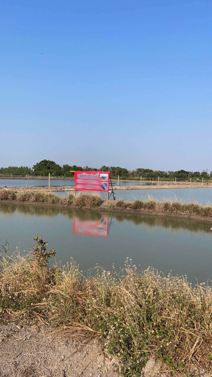 ขายที่ดิน-16-ไร่-1-งาน-20-ตรว-ตลำลูกบัว-อดอนตูม-นครปฐม