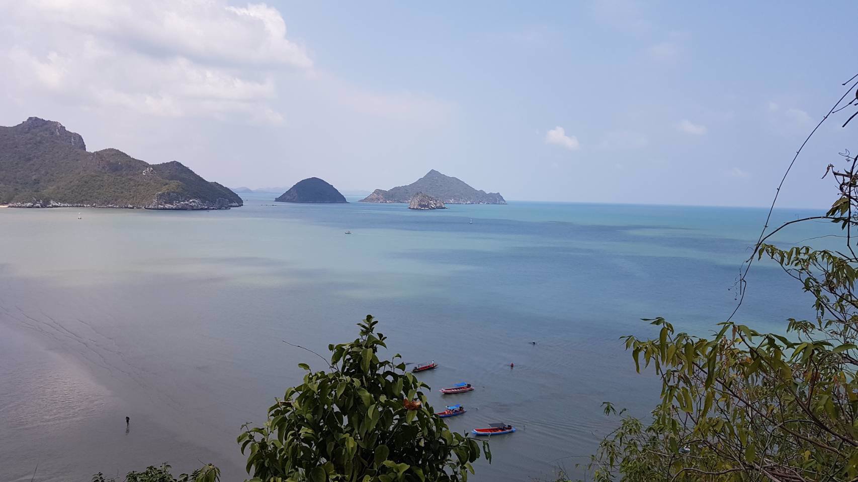 ขายอาคารพาณิชย์ชั้นเดียว-1-ห้องนอน-1-ห้องน้ำ-จำนวน-7-ยูนิต