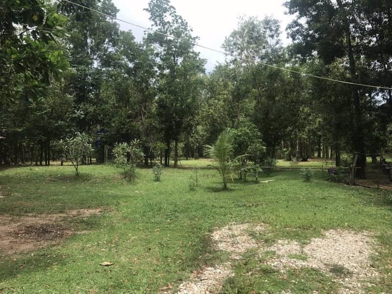 ขายด่วนที่ดินพังงาใกล้-อบตบางม่วงห่างถนนเพชรเกษมเพียง200ม-เนื้อที่-8-ไร่เศษ-ขายราคาพิเศษ