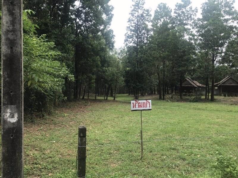 ขายด่วนที่ดินพังงาใกล้-อบตบางม่วงห่างถนนเพชรเกษมเพียง200ม-เนื้อที่-8-ไร่เศษ-ขายราคาพิเศษ