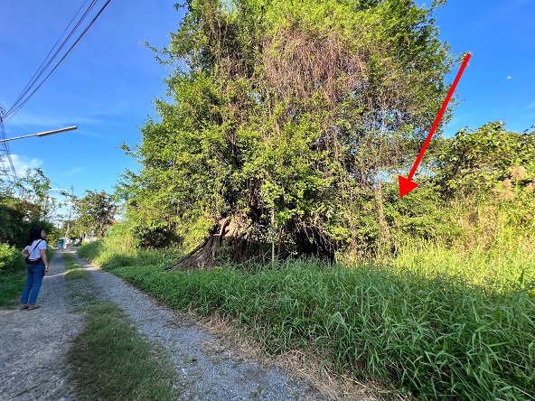 ขายที่ดินพหลโยธิน-54-1-แยก-8-4-2หรือ-สายไหม-ซอย-6-เนื้อที่-932-ตารางวา