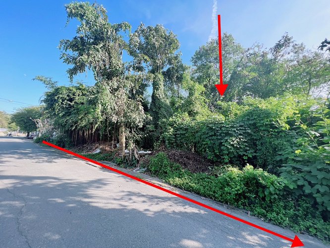 ขายที่ดินพหลโยธิน-54-1-แยก-8-4-2หรือ-สายไหม-ซอย-6-เนื้อที่-932-ตารางวา