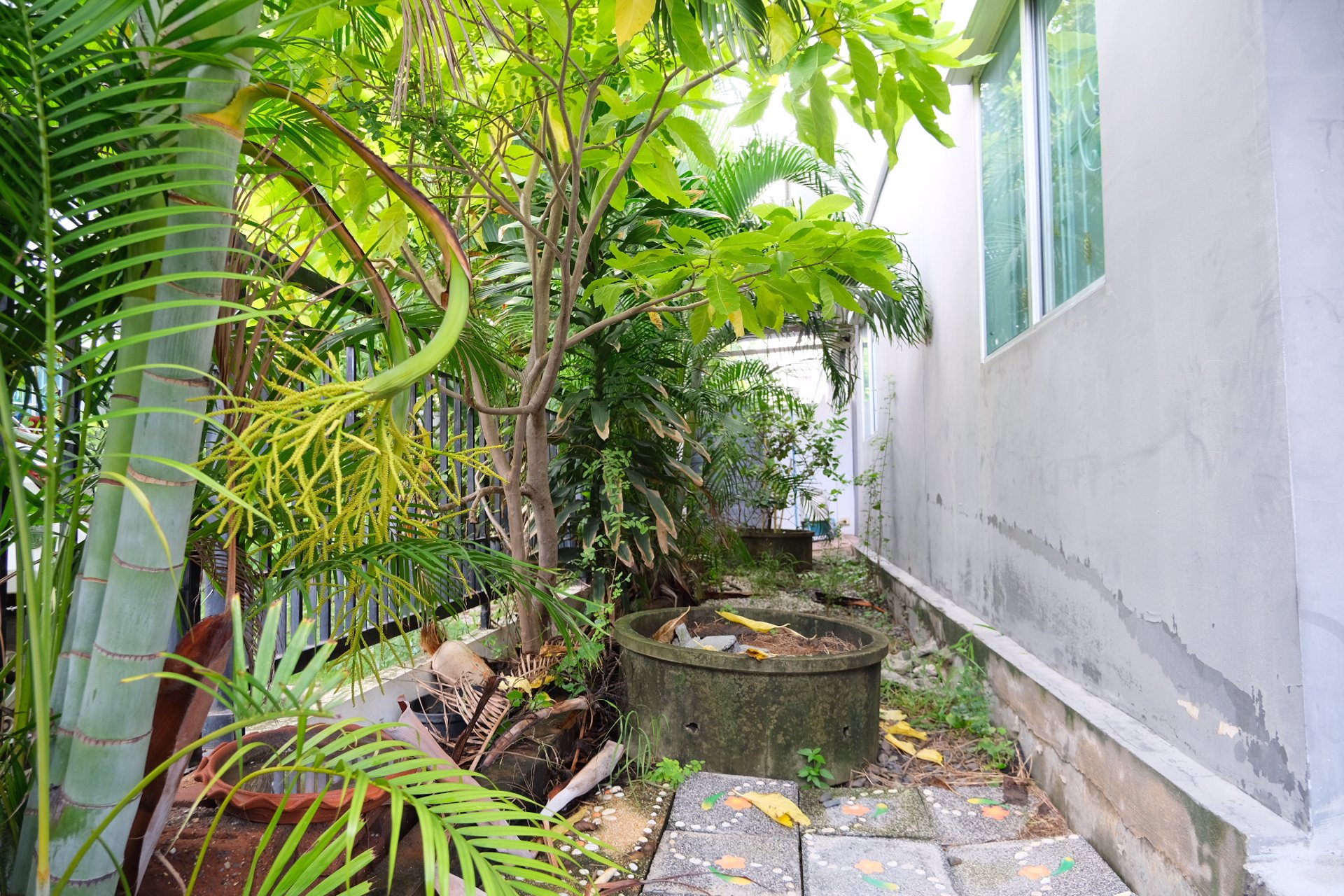 ขาย-ทาวน์เฮ้าส์-มพฤกษาวิลล์-38-1-กิ่งแก้ว-หนามแดง-เนื้อที่-237-ตรว-219-ล้าน-หลังมุม