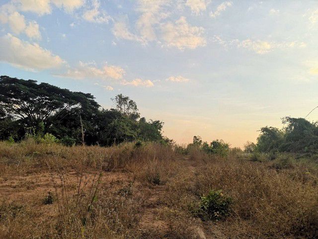 ขายที่ดินโฉนด-253-ตารางวา-นางั่ว-เพชรบูรณ์-ทางขึ้นเขาค้อ-ผ่อนตรงกับเจ้าของได้-แปลงสี่เหลี่ยม-ทำเลดี