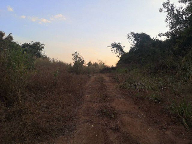 ขายที่ดินโฉนด-253-ตารางวา-นางั่ว-เพชรบูรณ์-ทางขึ้นเขาค้อ-ผ่อนตรงกับเจ้าของได้-แปลงสี่เหลี่ยม-ทำเลดี