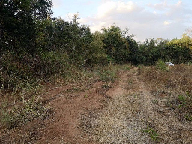 ขายที่ดินโฉนด-253-ตารางวา-นางั่ว-เพชรบูรณ์-ทางขึ้นเขาค้อ-ผ่อนตรงกับเจ้าของได้-แปลงสี่เหลี่ยม-ทำเลดี