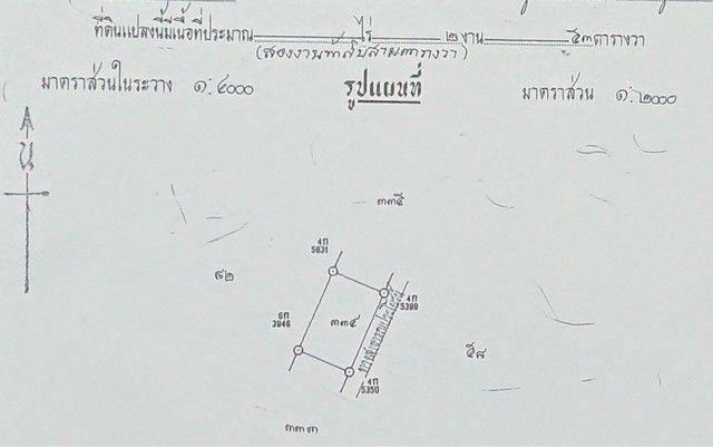 ขายที่ดินโฉนด-253-ตารางวา-นางั่ว-เพชรบูรณ์-ทางขึ้นเขาค้อ-ผ่อนตรงกับเจ้าของได้-แปลงสี่เหลี่ยม-ทำเลดี