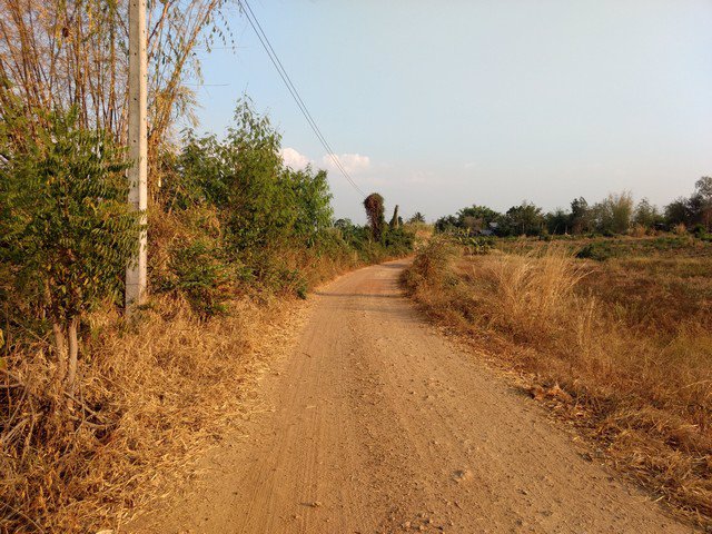 ขายที่ดินโฉนด-หมู่บ้านนางั่ว-เพชรบูรณ์-ติดถนนสาธารณะ-มีไฟฟ้า-ใกล้แหล่งชุมชน-และเซเว่น