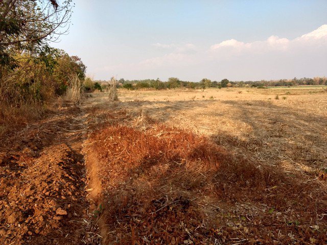 ขายที่ดินโฉนด-หมู่บ้านนางั่ว-เพชรบูรณ์-ติดถนนสาธารณะ-มีไฟฟ้า-ใกล้แหล่งชุมชน-และเซเว่น