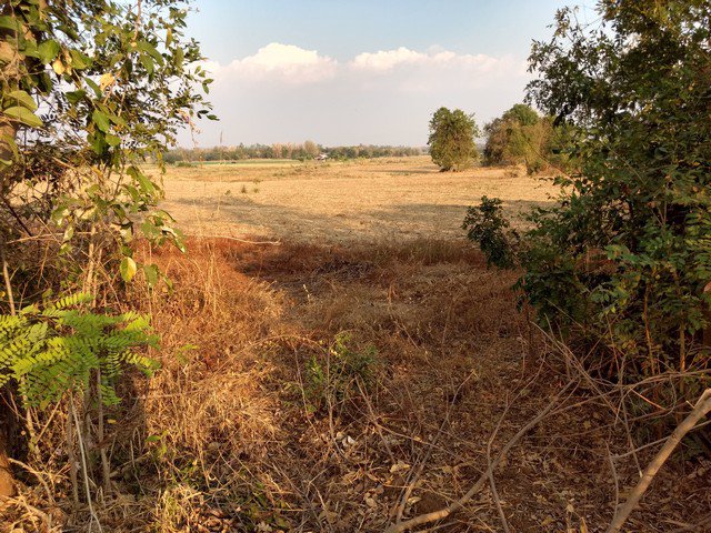 ขายที่ดินโฉนด-หมู่บ้านนางั่ว-เพชรบูรณ์-ติดถนนสาธารณะ-มีไฟฟ้า-ใกล้แหล่งชุมชน-และเซเว่น