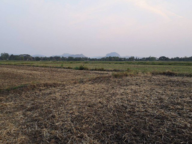 ขายที่ดินโฉนด-80ตารางวา-ผ่อนกับเจ้าของได้-วิวเขา-ใกล้เมือง-ชอนไพร-เพชรบูรณ์-อุดมสมบูรณ์