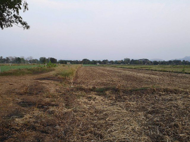 ขายที่ดินโฉนด-80ตารางวา-ผ่อนกับเจ้าของได้-วิวเขา-ใกล้เมือง-ชอนไพร-เพชรบูรณ์-อุดมสมบูรณ์