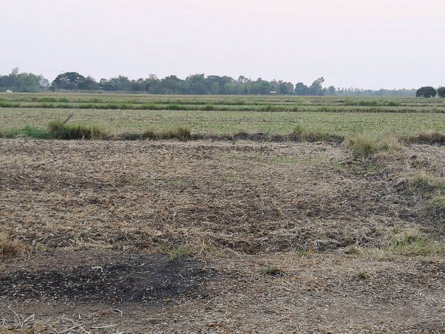 ขายที่ดินโฉนด-80ตารางวา-ผ่อนกับเจ้าของได้-วิวเขา-ใกล้เมือง-ชอนไพร-เพชรบูรณ์-อุดมสมบูรณ์