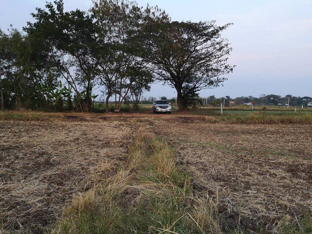 ขายที่ดินโฉนด-80ตารางวา-ผ่อนกับเจ้าของได้-วิวเขา-ใกล้เมือง-ชอนไพร-เพชรบูรณ์-อุดมสมบูรณ์