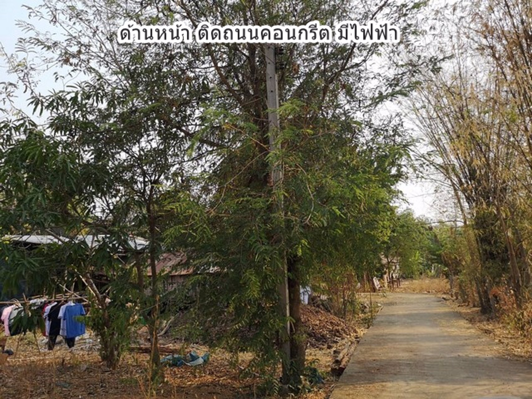 ขายที่ดินโฉนด-ท่าพล-บ้านโนนสง่า-เพชรบูรณ์-น้ำไฟครบ-แหล่งชุมชน-ติดถนนสาธารณะ-เพียง-25-กิโลจากถนน-21
