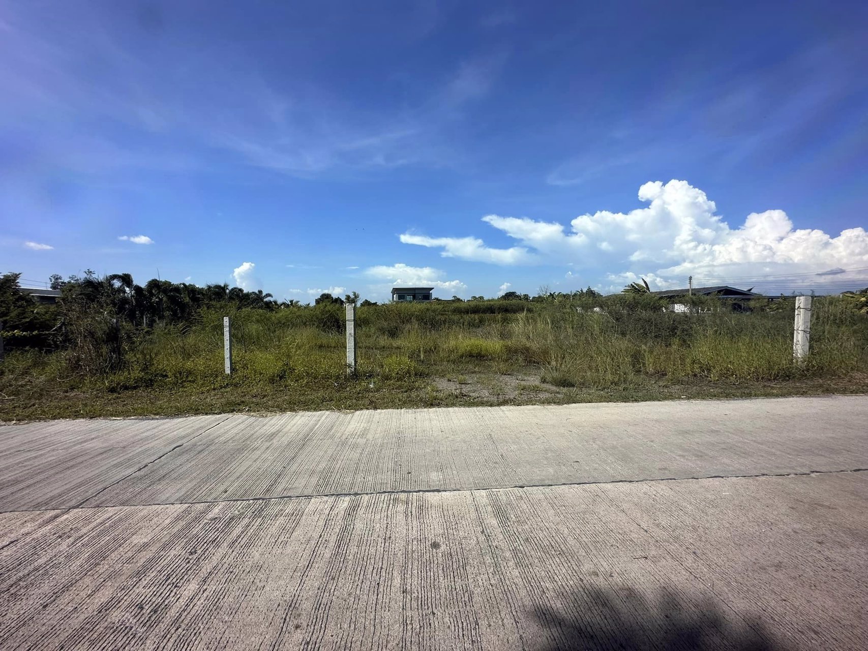 ขายด่วน-บ้านเดี่ยวหลังใหญ่-5-ไร่-3-งาน-31-ตรว