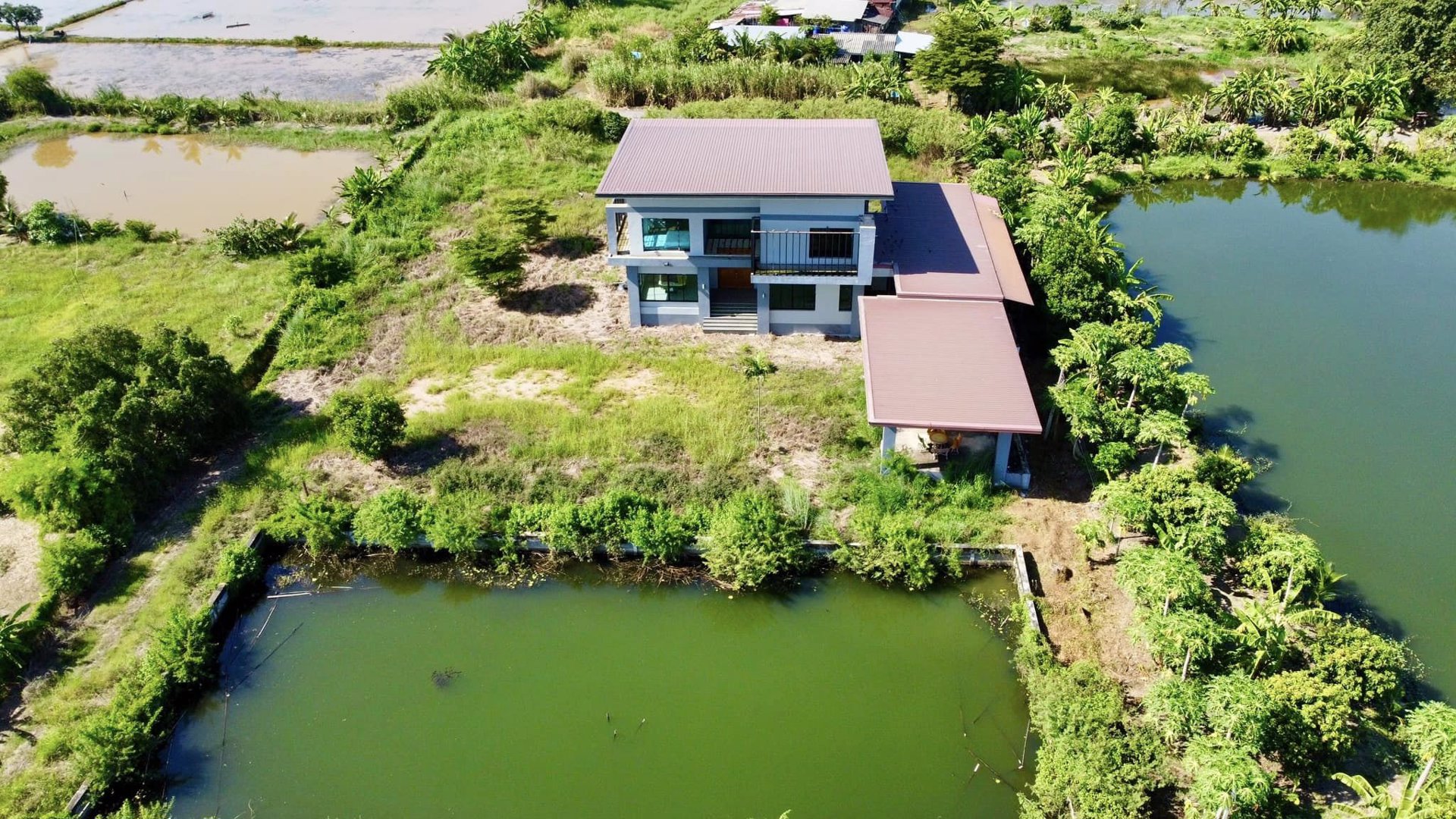 ขายด่วน-บ้านเดี่ยวหลังใหญ่-5-ไร่-3-งาน-31-ตรว