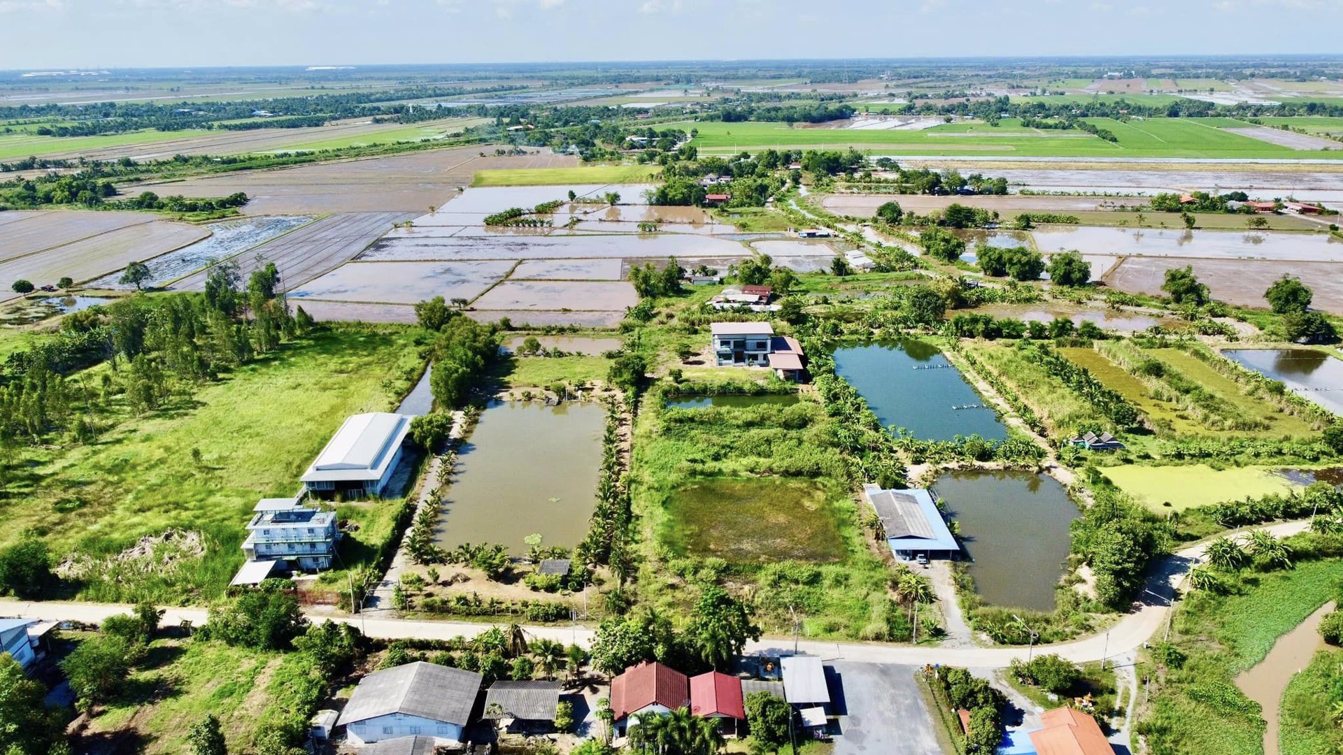 ขายด่วน-บ้านเดี่ยวหลังใหญ่-5-ไร่-3-งาน-31-ตรว