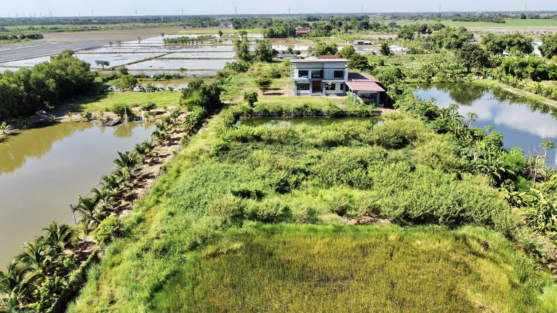 ขายด่วน-บ้านเดี่ยวหลังใหญ่-5-ไร่-3-งาน-31-ตรว