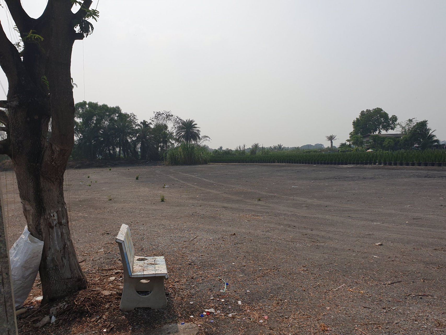 ที่ดินเปล่า-ขายยกสองแปลงติดกัน-เนื้อที่รวม-7-ไร่-3-งาน