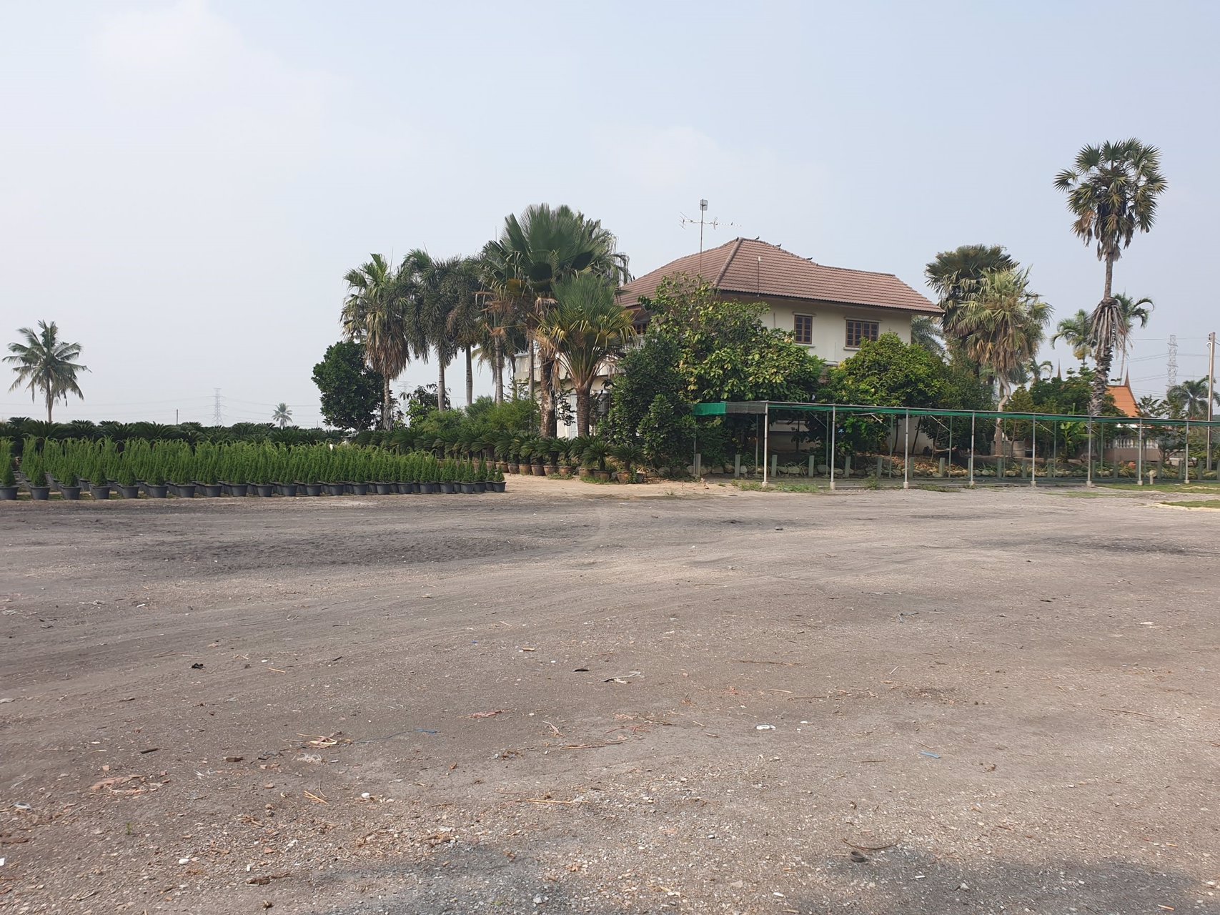 ที่ดินเปล่า-ขายยกสองแปลงติดกัน-เนื้อที่รวม-7-ไร่-3-งาน