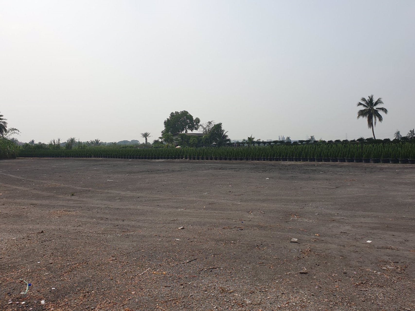 ที่ดินเปล่า-ขายยกสองแปลงติดกัน-เนื้อที่รวม-7-ไร่-3-งาน