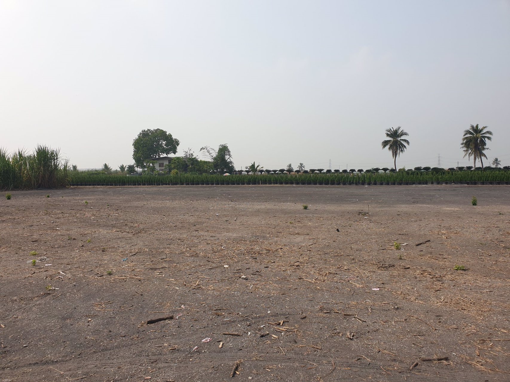 ที่ดินเปล่า-ขายยกสองแปลงติดกัน-เนื้อที่รวม-7-ไร่-3-งาน