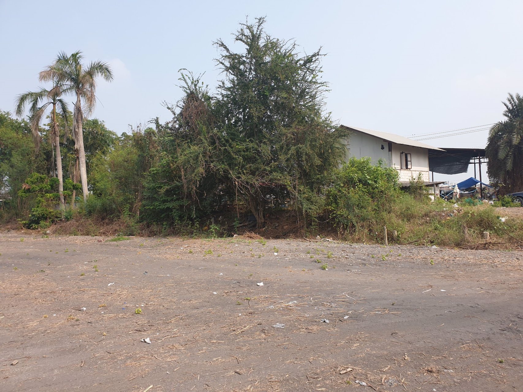 ที่ดินเปล่า-ขายยกสองแปลงติดกัน-เนื้อที่รวม-7-ไร่-3-งาน