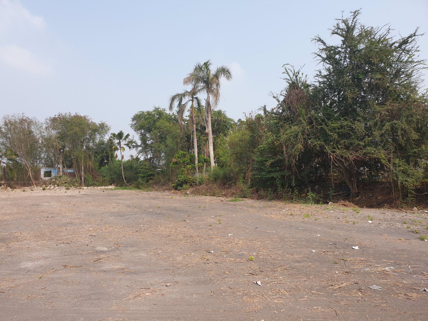 ที่ดินเปล่า-ขายยกสองแปลงติดกัน-เนื้อที่รวม-7-ไร่-3-งาน