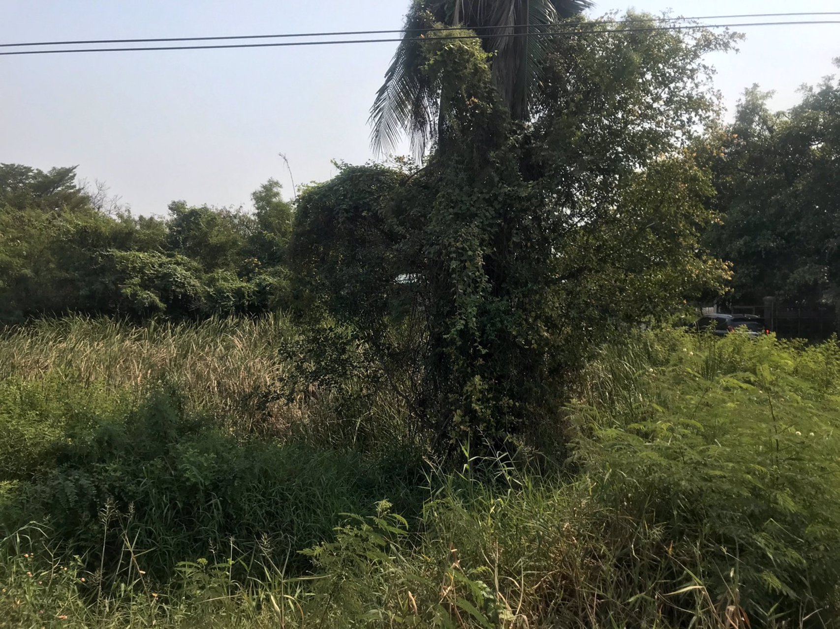 ที่ดินเปล่า-15-แปลง-ทรัพย์เดียวกัน-บนเนื้อที่-150-ไร่