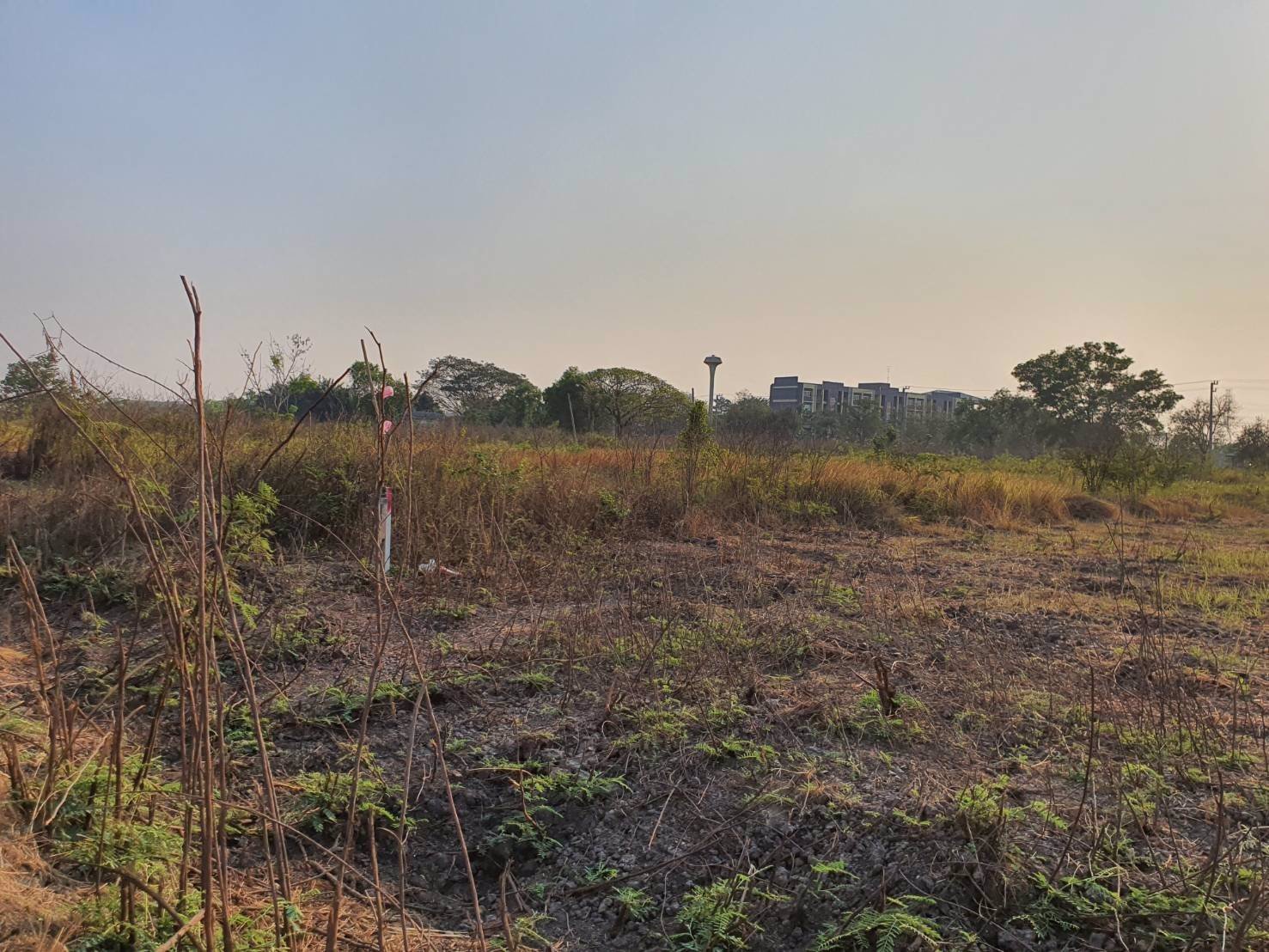 ขาย-ที่ดินสวย-คลอง-13-ธัญญะ-ติดวิทยาลัยเทคนิคธัญญะ