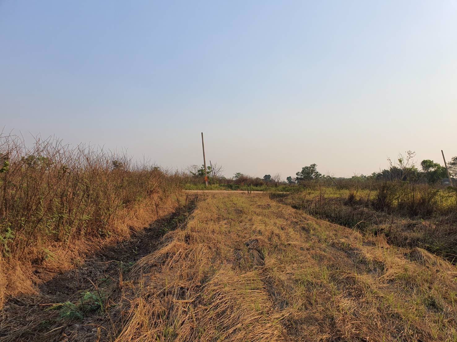 ขาย-ที่ดินสวย-คลอง-13-ธัญญะ-ติดวิทยาลัยเทคนิคธัญญะ