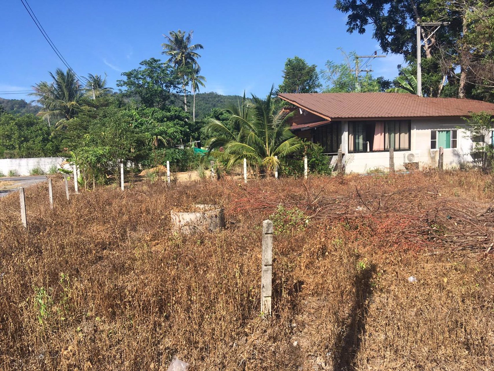 ขายด่วน-ที่ดินภูเก็ตใกล้แหล่งท่องเที่ยว-50-ตารางวา