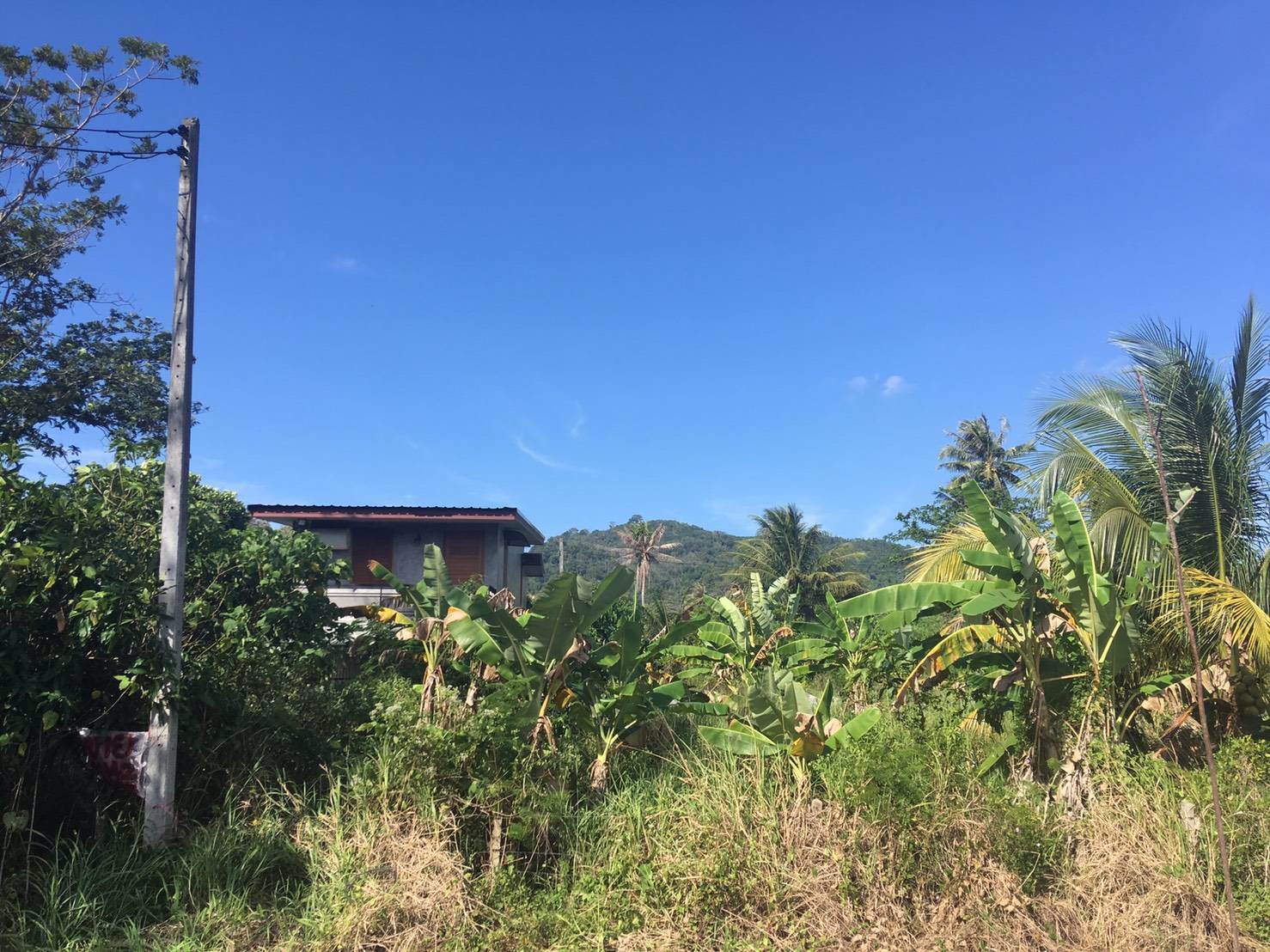 ขายด่วน-ที่ดินภูเก็ตใกล้แหล่งท่องเที่ยว-50-ตารางวา