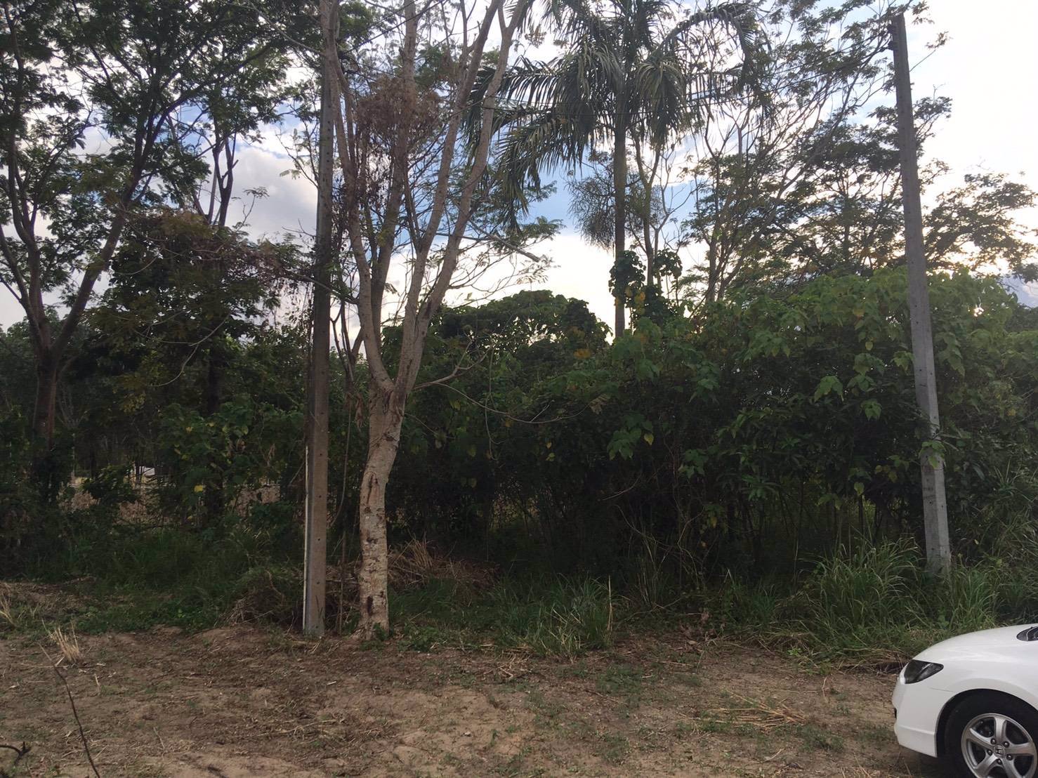 ขายด่วน-ที่ดินภูเก็ตใกล้แหล่งท่องเที่ยว-50-ตารางวา