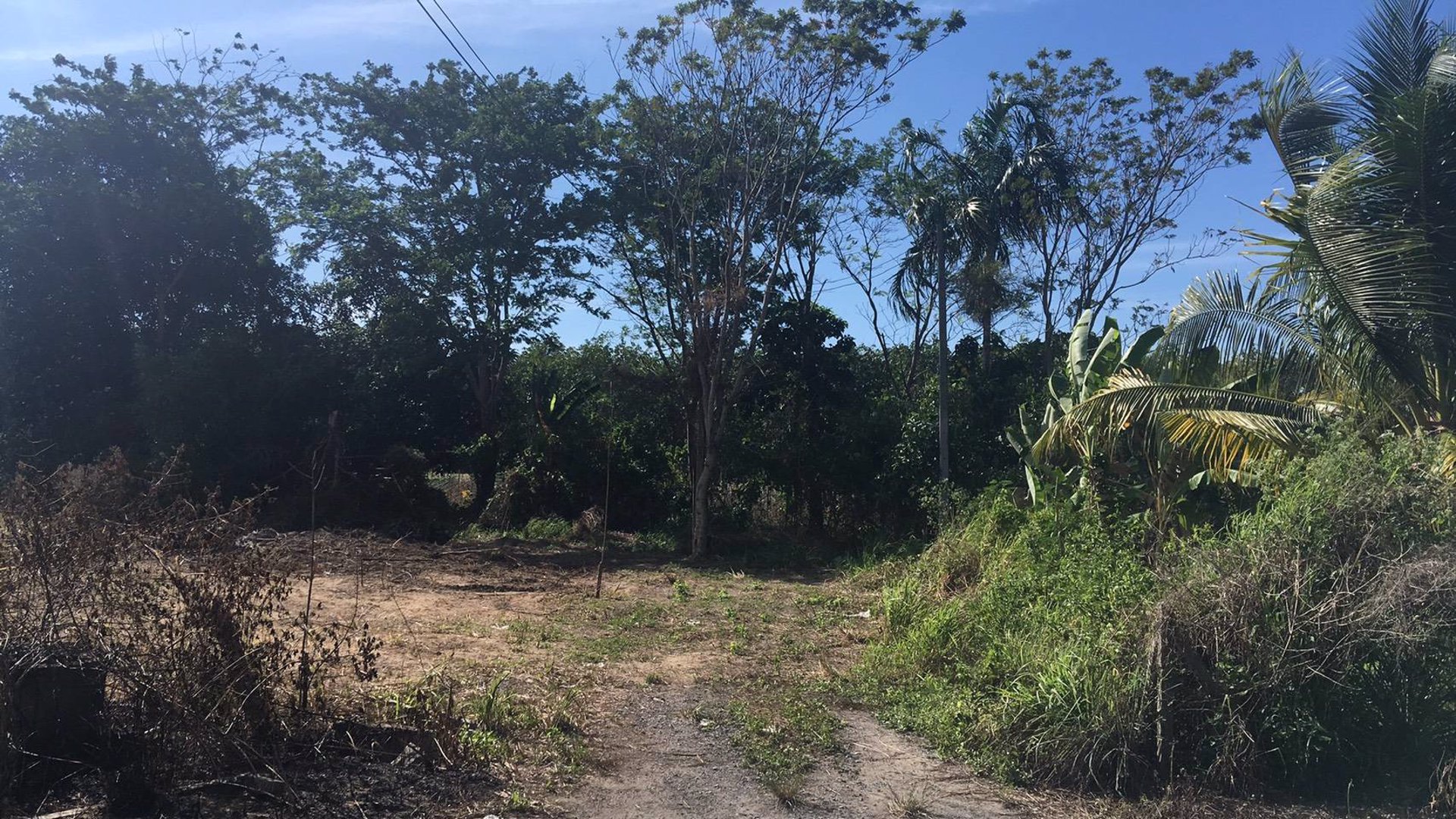 ขายด่วน-ที่ดินภูเก็ตใกล้แหล่งท่องเที่ยว-50-ตารางวา