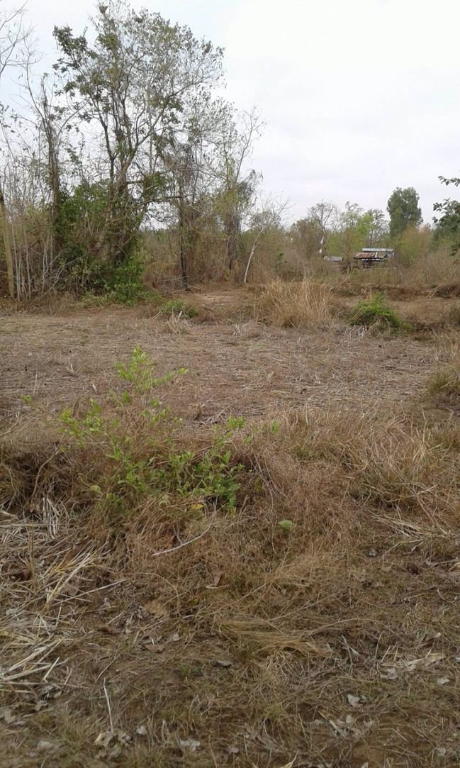 ขายทิ่ดินสวย-36-ไร่ติดทางสาธารณะ-จังหวัดสกลนค